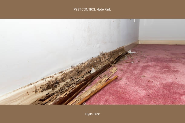 PEST CONTROL Hyde Park